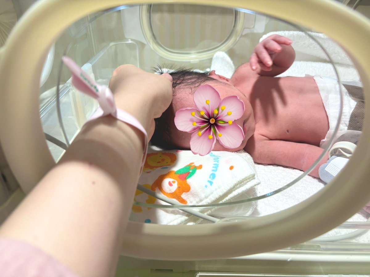oky_240's tweet photo. 38w5d

2026.4.4 (sat)
6:58 am

📏 47.8cm
⚖️ 2,892g

baby BOY 🦖

桜満開！だかしかし曇天の本日！！
無事生まれました😭😭🩵

ベビーはしばらくクベースだけど
母児ともに健康です🕊️

🌸くん 誕生日おめでとう😌🫶🏻 https://t.co/UsJqxiFdBn