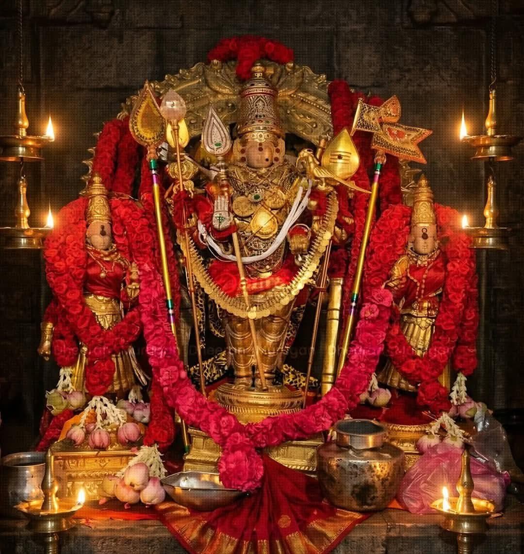 Vijayasarathy (Ex SunTv)🇮🇳🤘🏽 tweet media