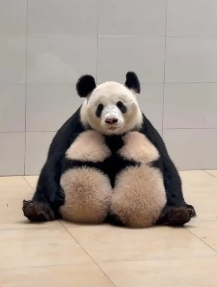 1/e 光道长🀄 tweet media