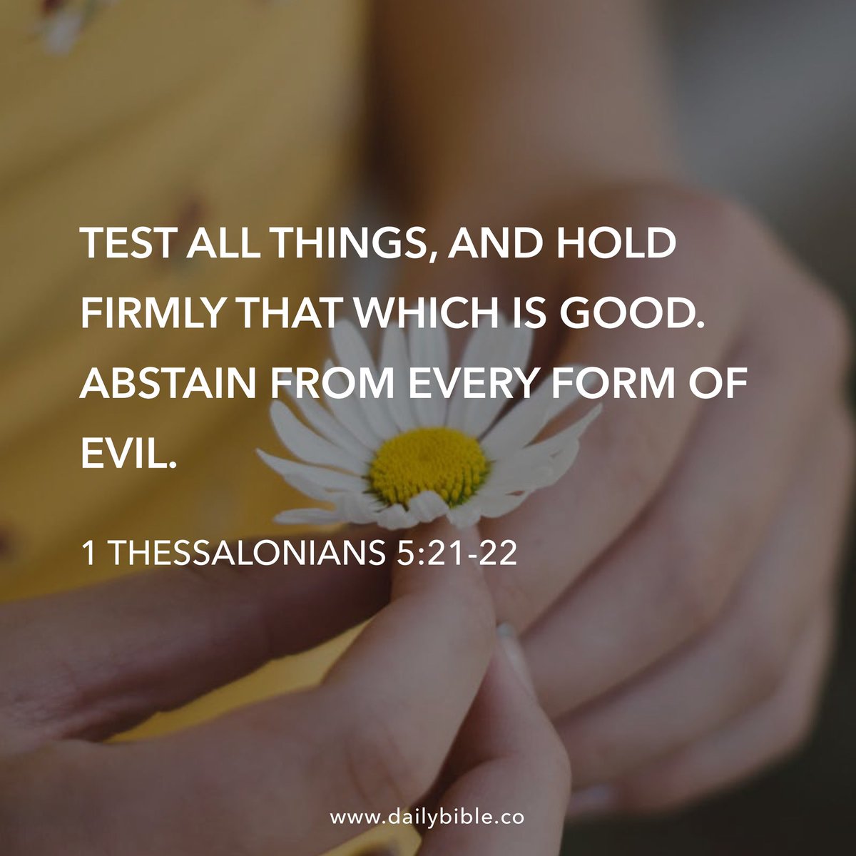 AliBradleyTV's tweet photo. #DailyVerse https://t.co/07n8aBwTYD
