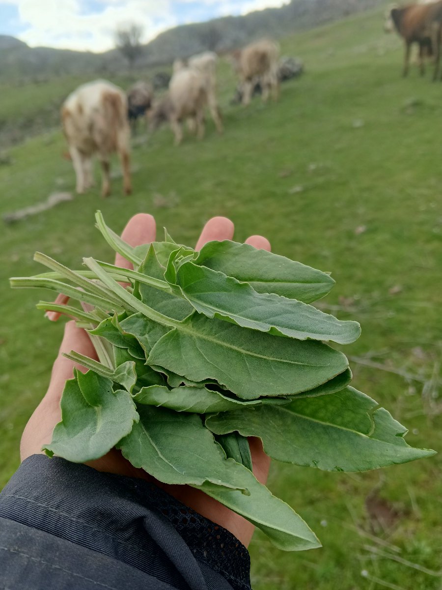 semra🎈 tweet media