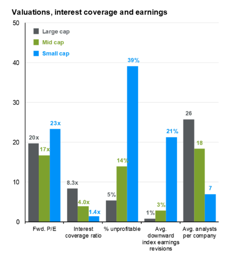 Mike Zaccardi, CFA, CMT 🍖 tweet media