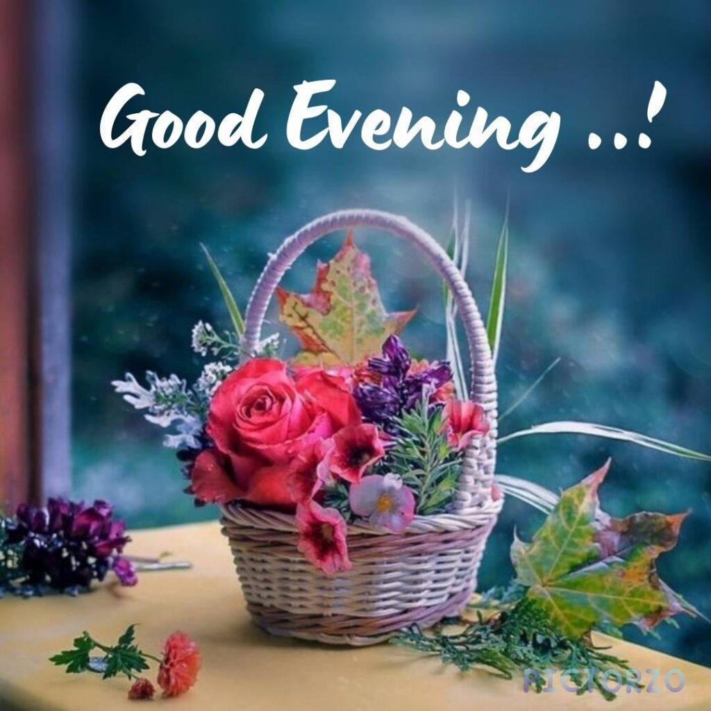 Tahia Islam tweet media