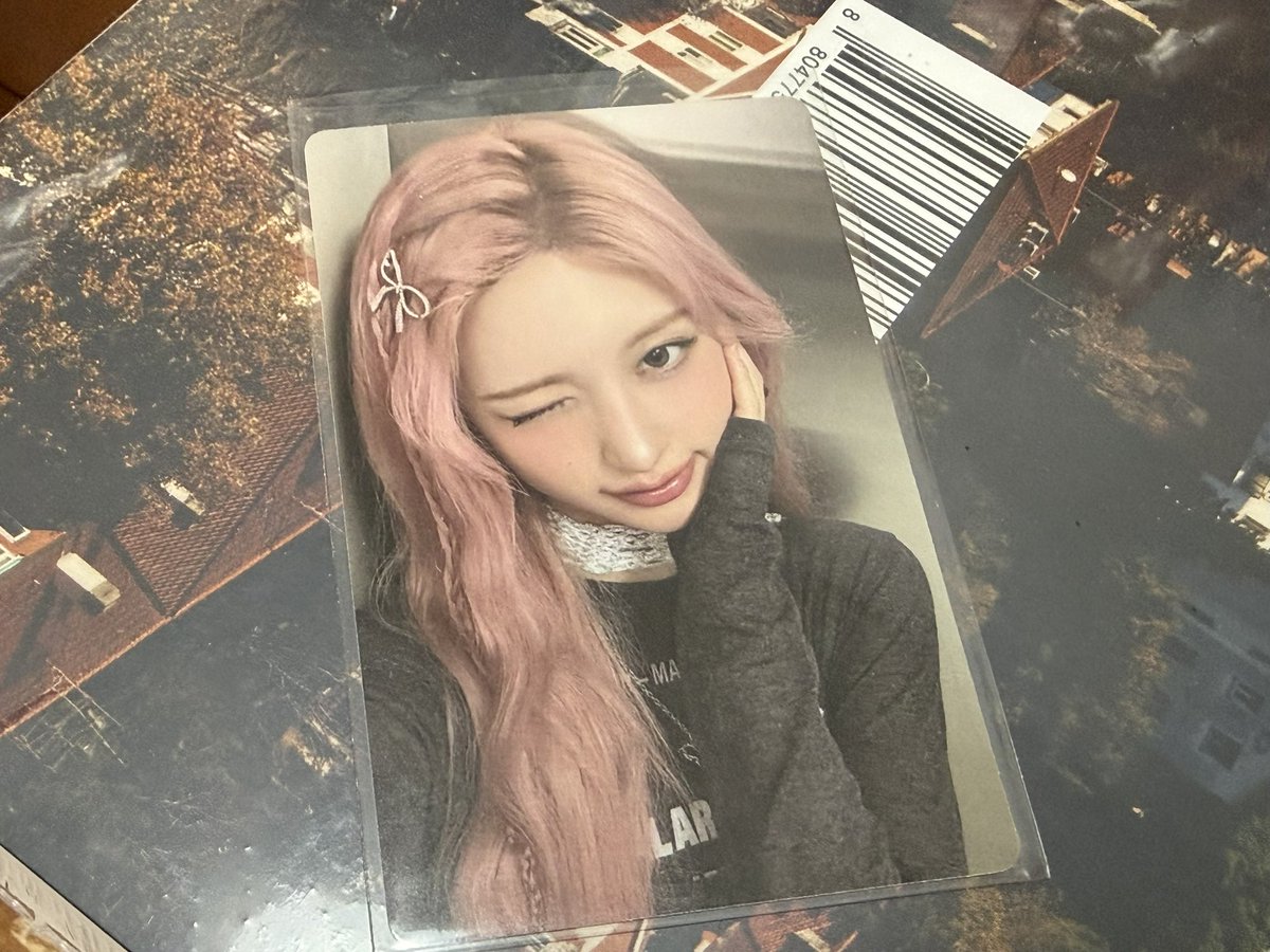 마이🐰 tweet media