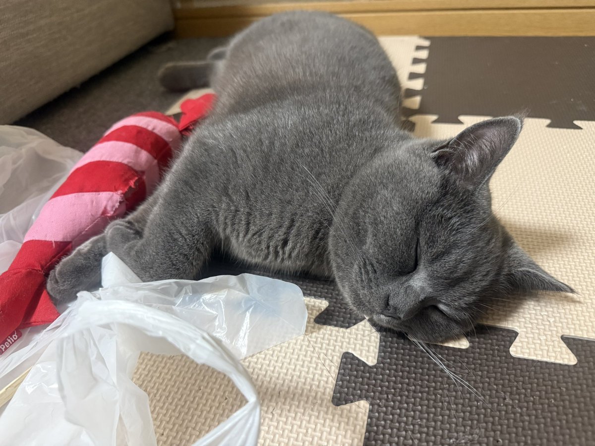 おこげ tweet media