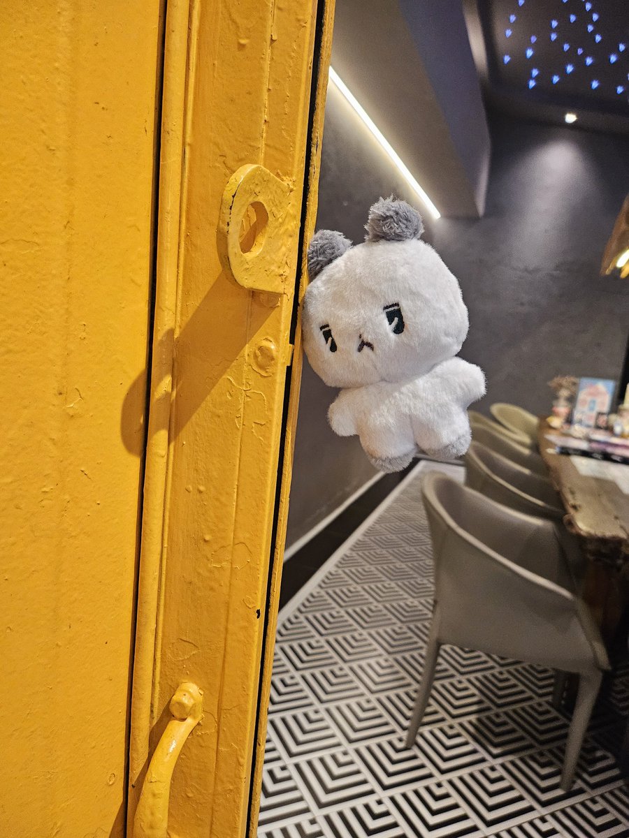 seal will be at CAFKL 🐚 tweet media