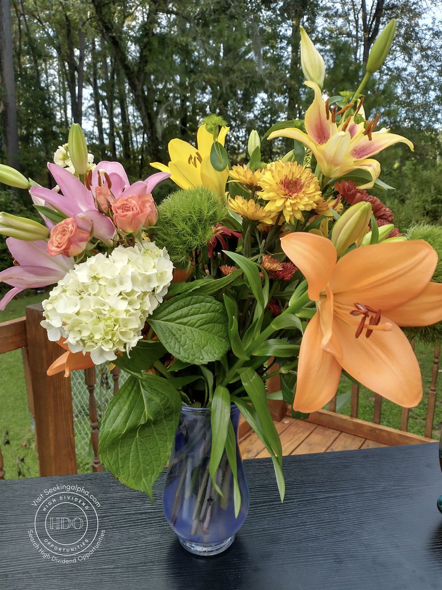 High Dividend Opportunities tweet media