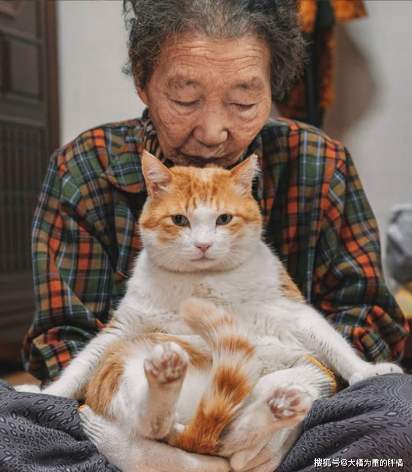 Krishna Mohre tweet media