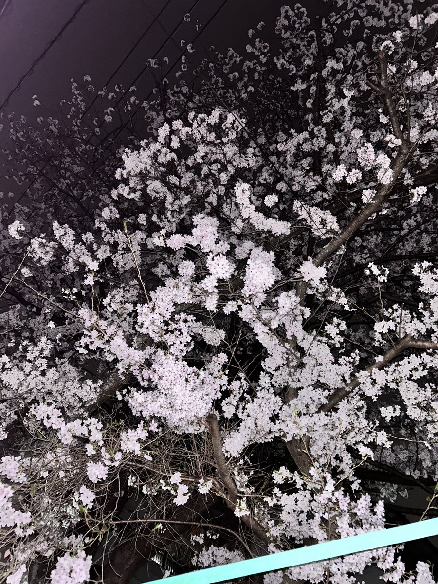 ながい りん🍎145センチ tweet media