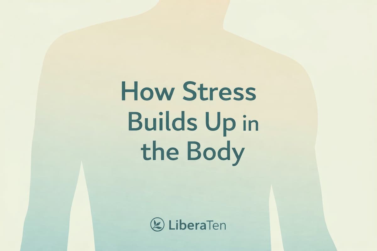 LiberaTen_X's tweet photo. Stress doesn’t just stay in your mind.

It builds up in your body — in your muscles, your breath, and your daily patterns.

Here’s how to understand it… and gently release it 👇

https://t.co/3tyMqvbMOK https://t.co/MJLBFQtYfH