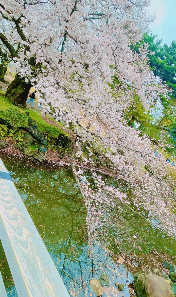 前田 佳織里 tweet media