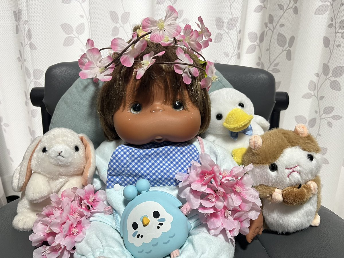 としょぞう tweet media