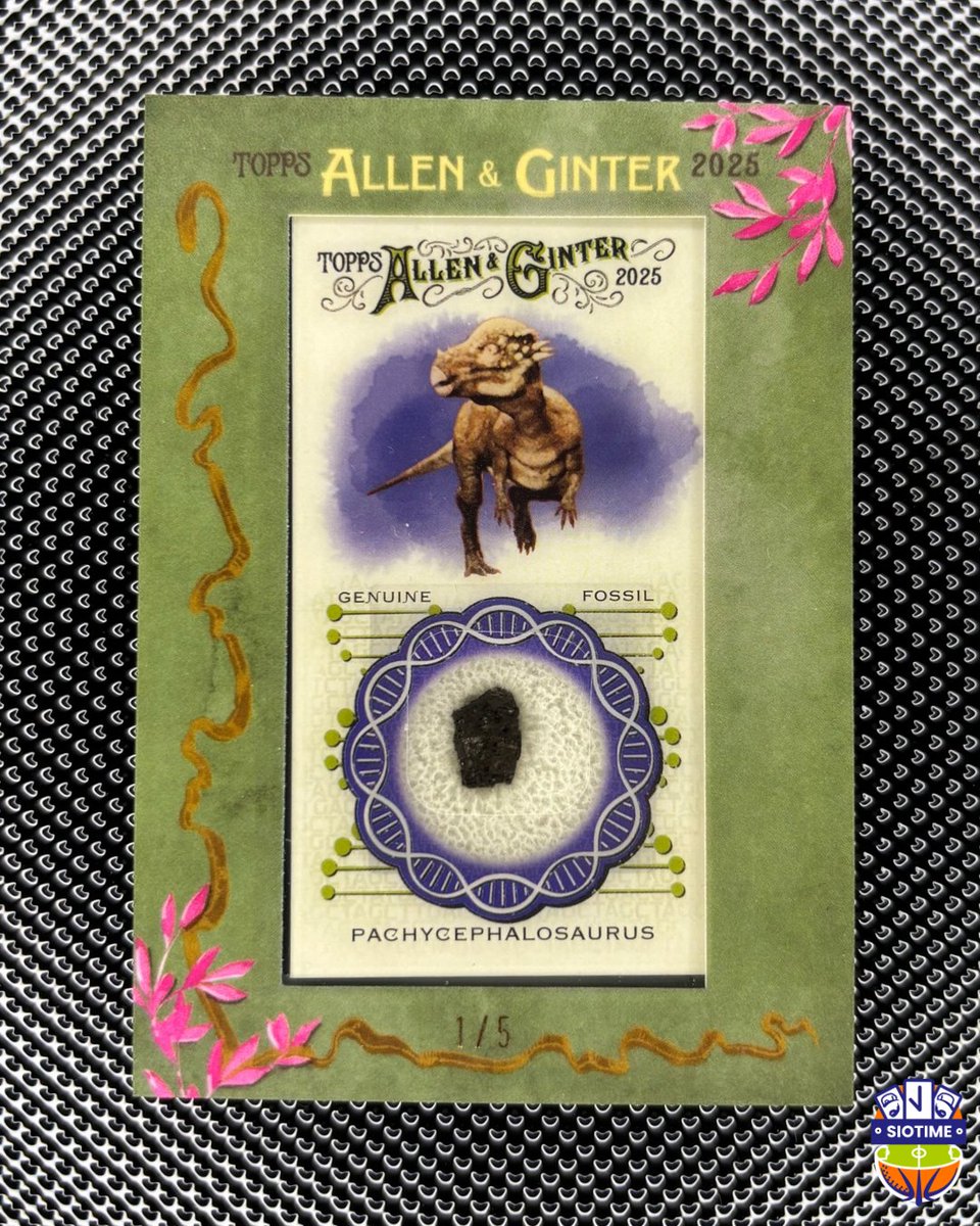 Siotimecards's tweet image. Quand il faut   protéger comme il faut un vieux dino.

@PatYume on va pouvoir enfin le sortir de son coffre 🧰

@CardPurchaser

#siotime #topps #allenandginter

🦖🦕