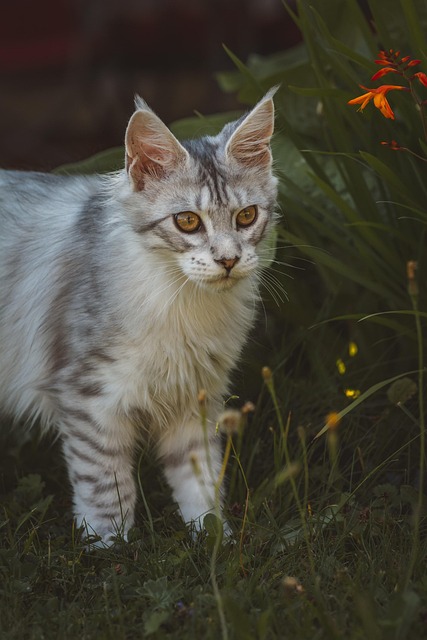 James Staley tweet media