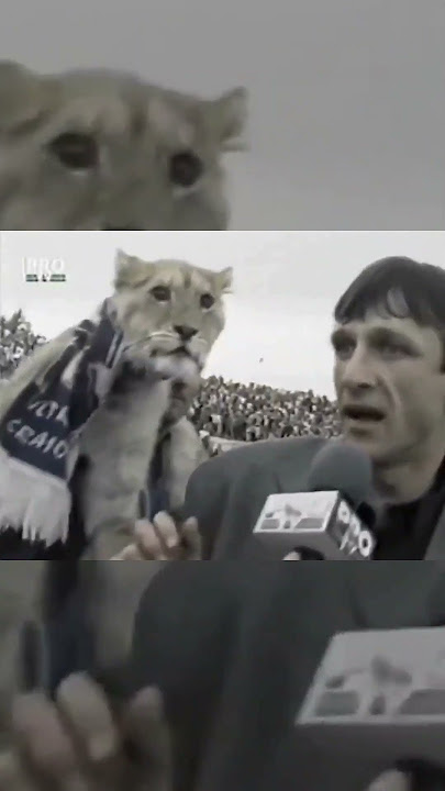 Hay que llevarlo a la cancha