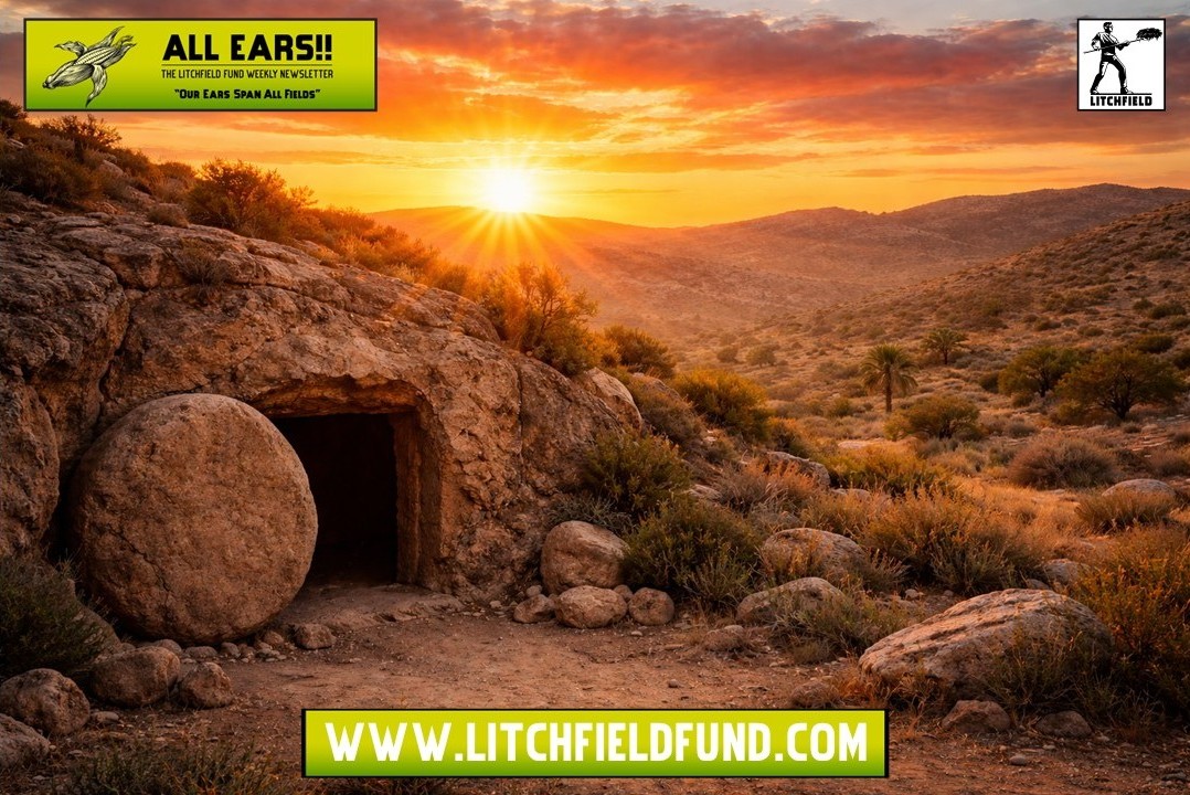 LitchfieldFund's tweet photo. This week's All Ears!!

🌽🌽Yes Kings!🌽🌽
https://t.co/1lHraKEcJ6

#cpgindustry #cpgnews #investing #founders #networking 
#amwriting #investors #entrepreneur #writerscommunity https://t.co/PLlNHKNWYF