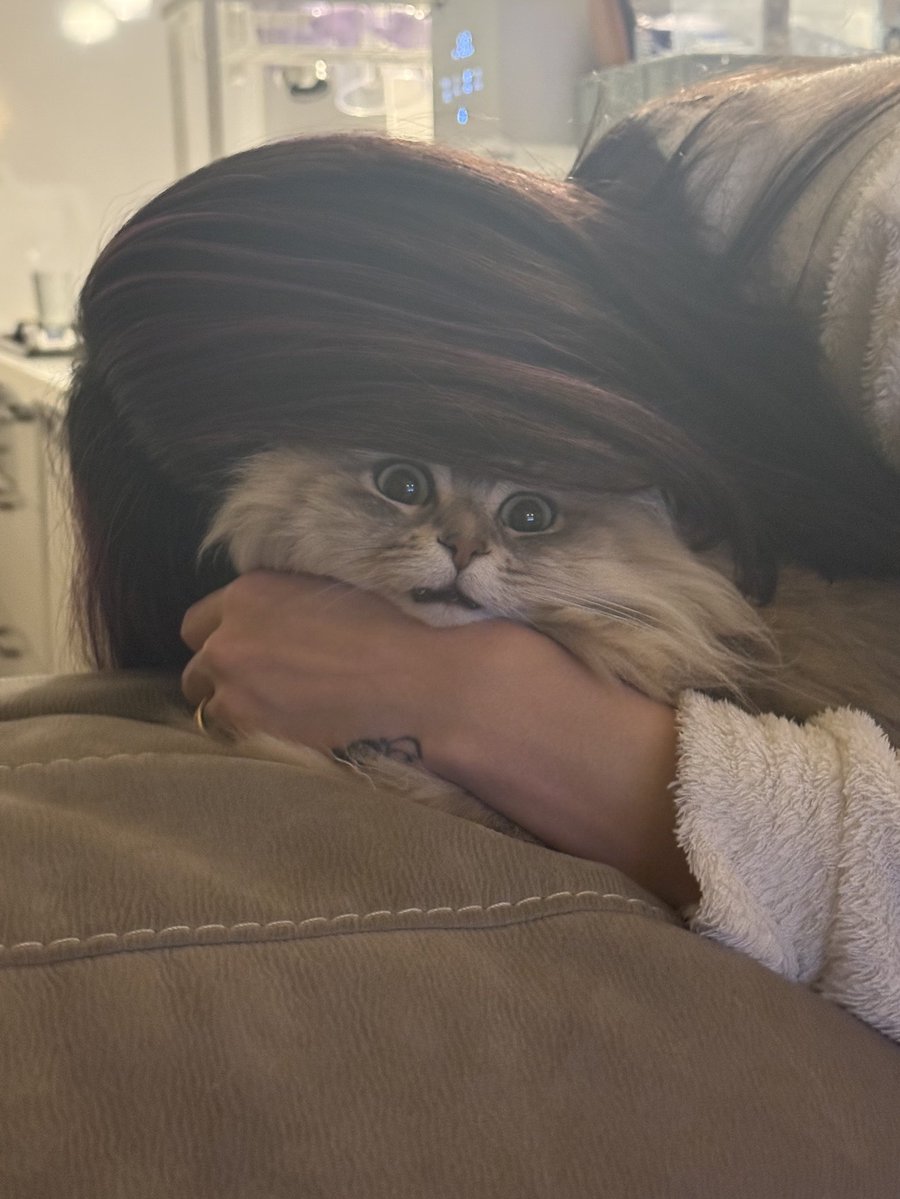 しらす🐟どんぐり🐿️はんぺん🍢 tweet media