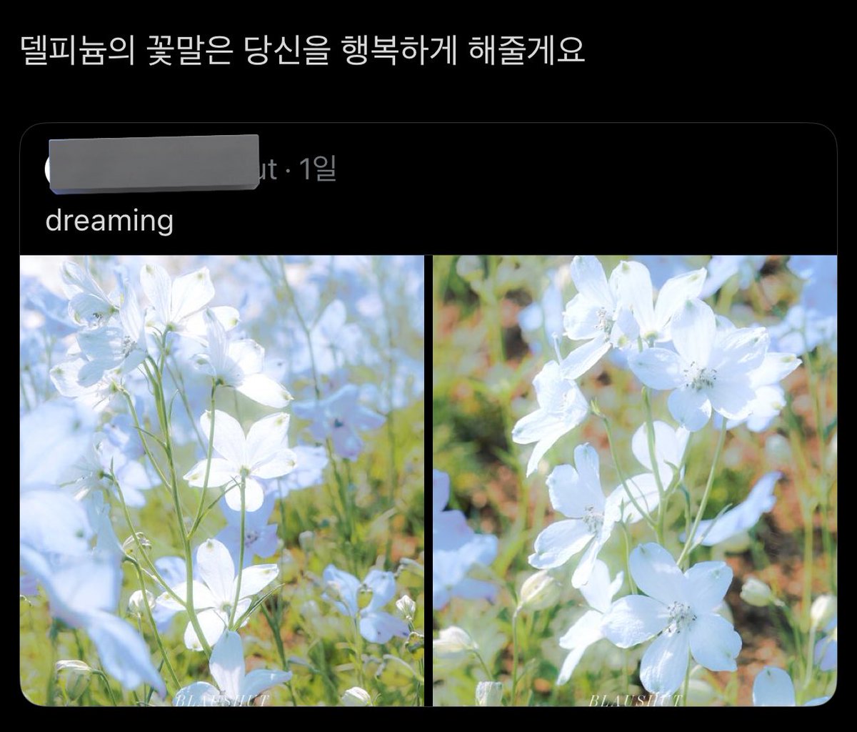 maramat_br's tweet photo. 탐라에서 자만추 함 https://t.co/a84vevnK2m