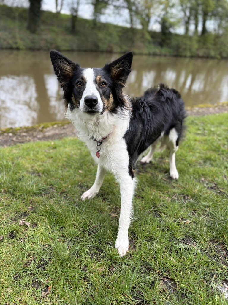 Puppy Bess and Auntie Kes tweet media