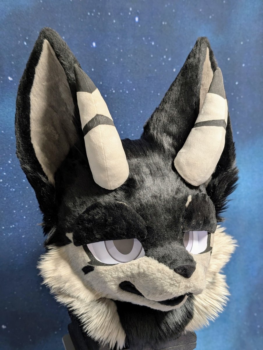 Kenichi Wakisaka (Wakkie) tweet media