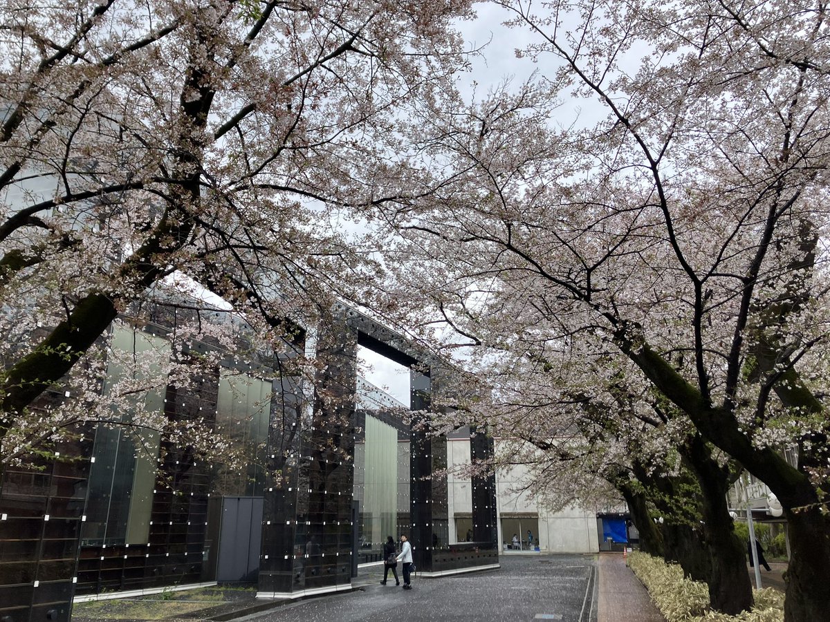 舟山貴士 tweet media