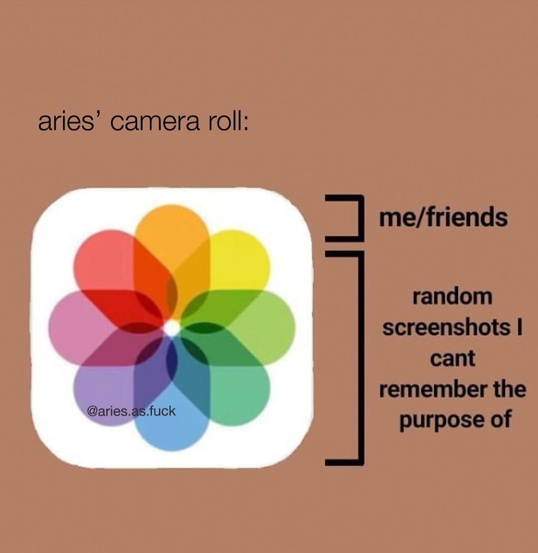 ariesalwayss's tweet photo. aries be like: https://t.co/awZ4mMMTdG