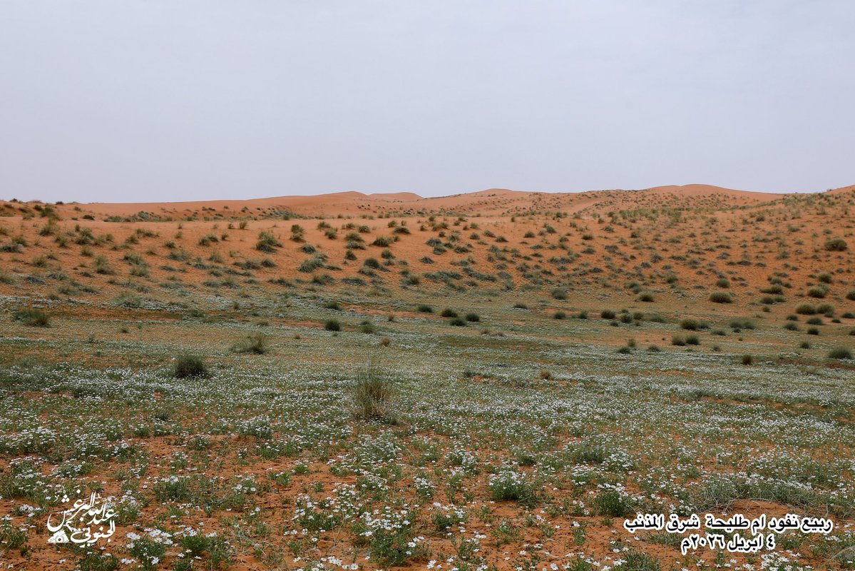 عبدالله البرغش (الجنوبي 2000) tweet media