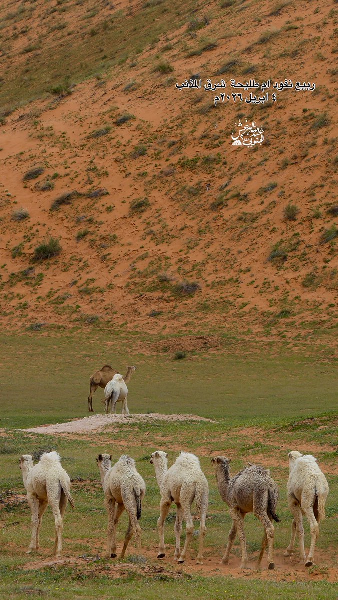 عبدالله البرغش (الجنوبي 2000) tweet media