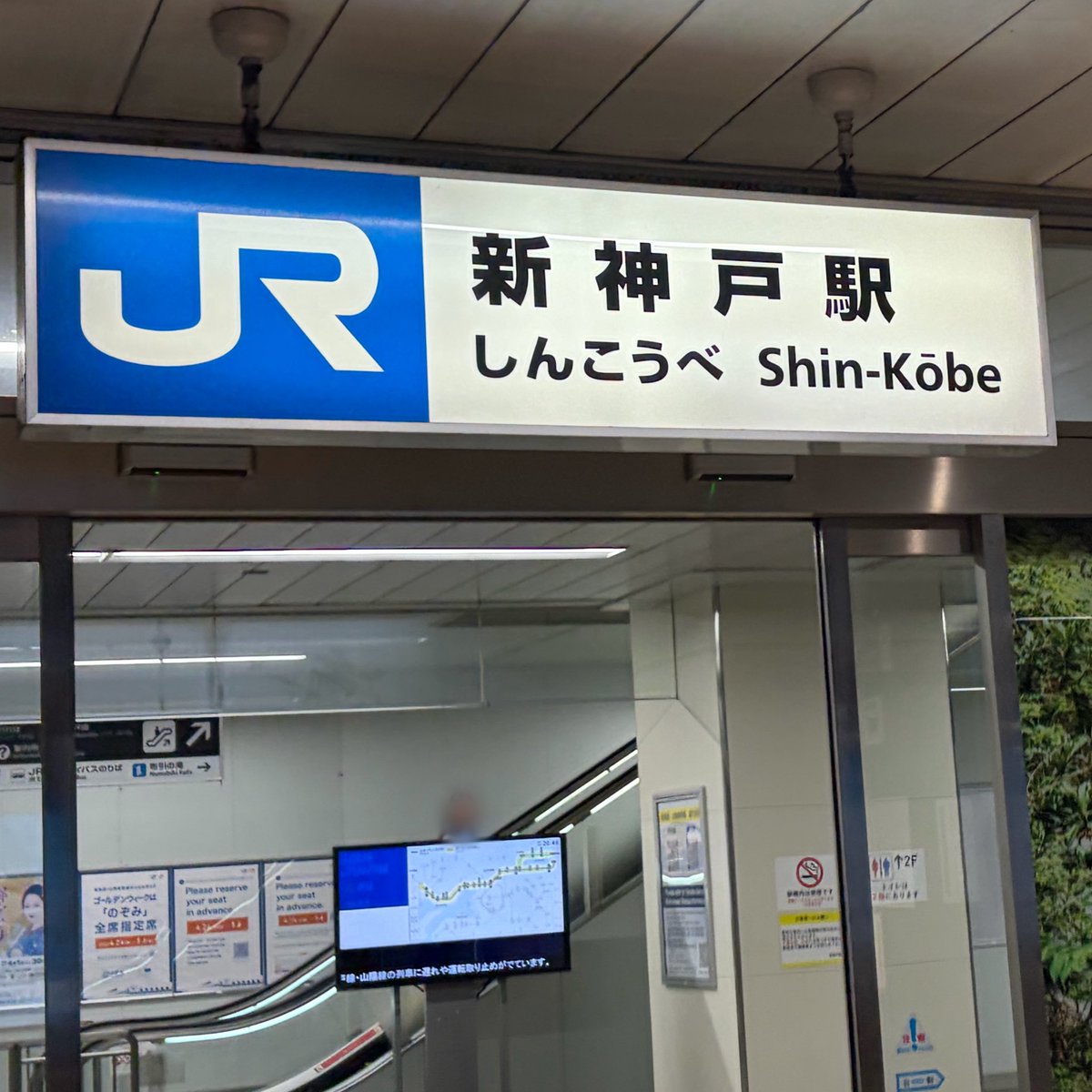 さかな tweet media