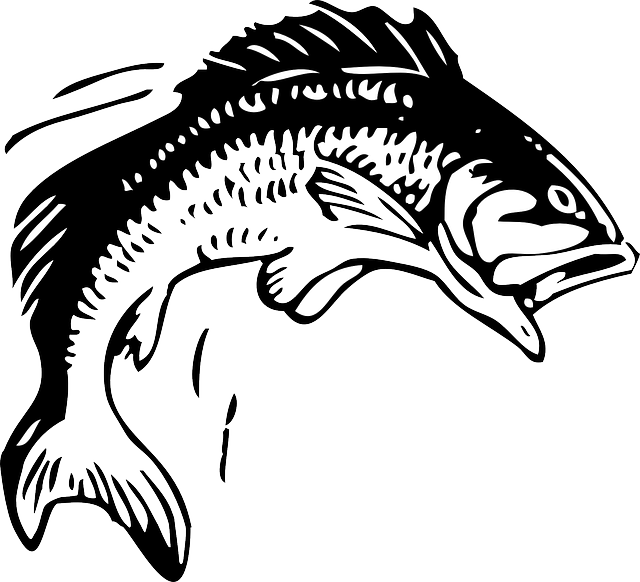 Monique Obrien tweet media