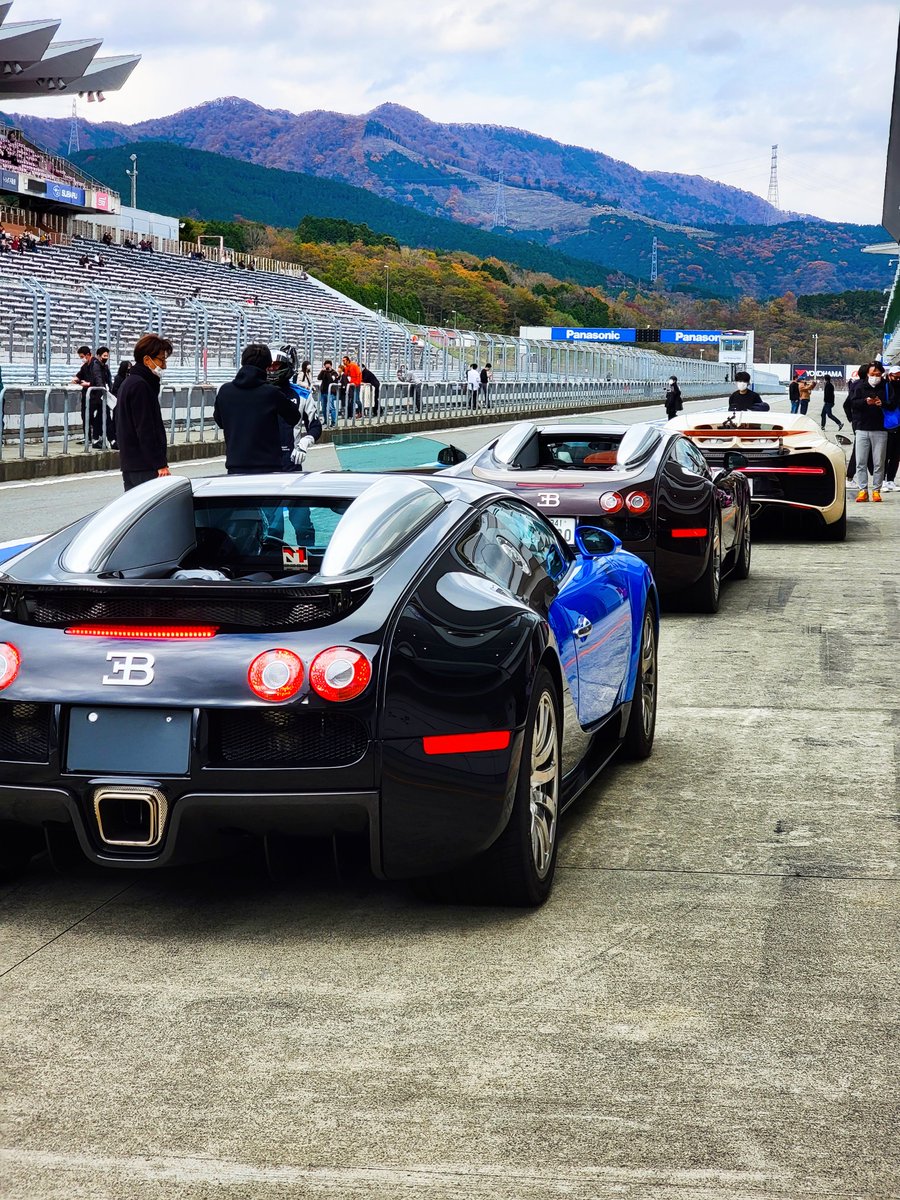 Angelfish tweet media