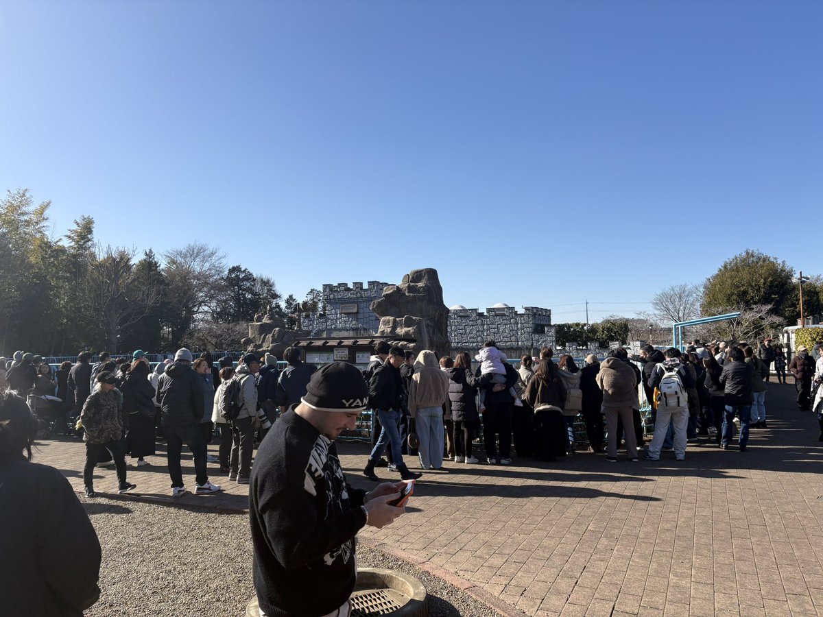 Ogawa (小,川) tweet media