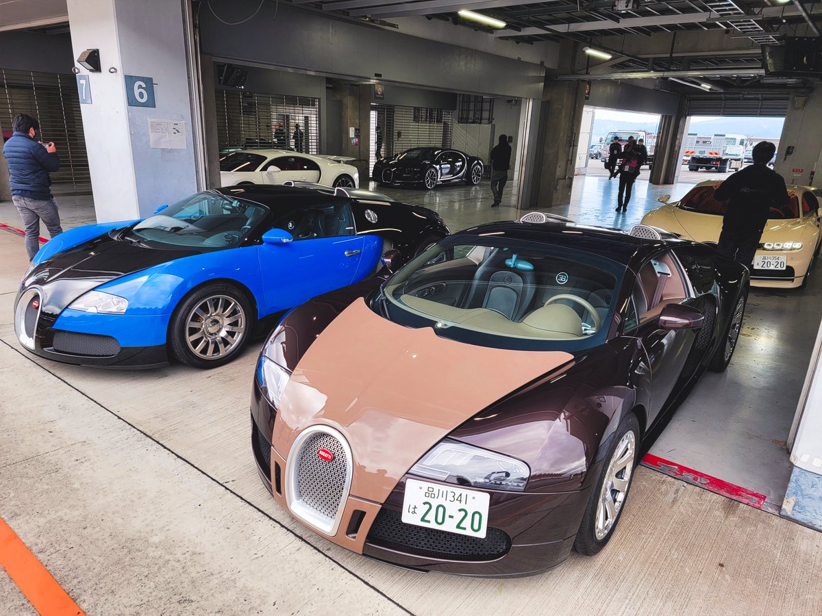 Angelfish tweet media