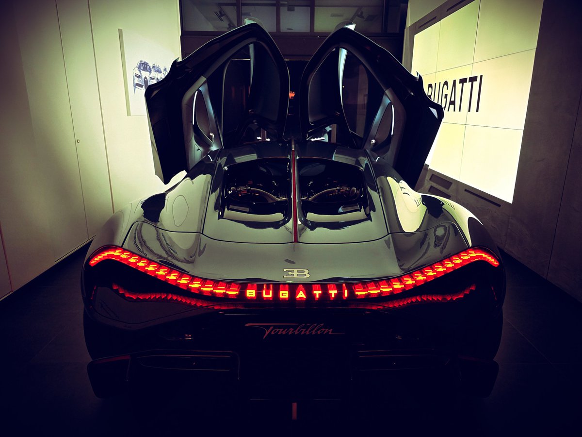 Angelfish tweet media