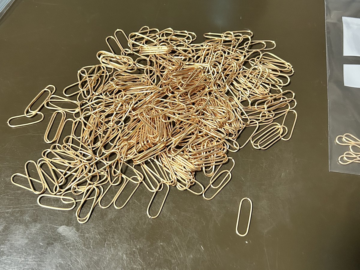 シマリス🐿 tweet media