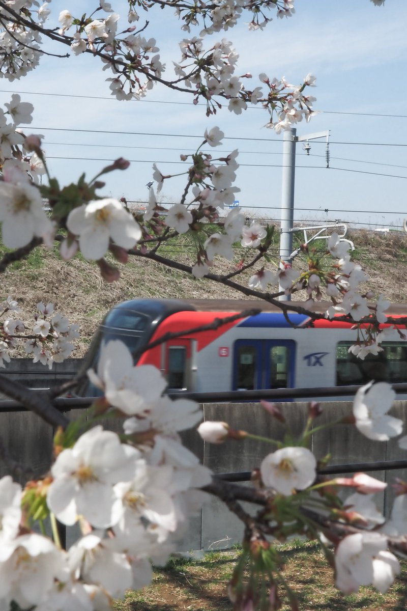 キヤ派の tweet media