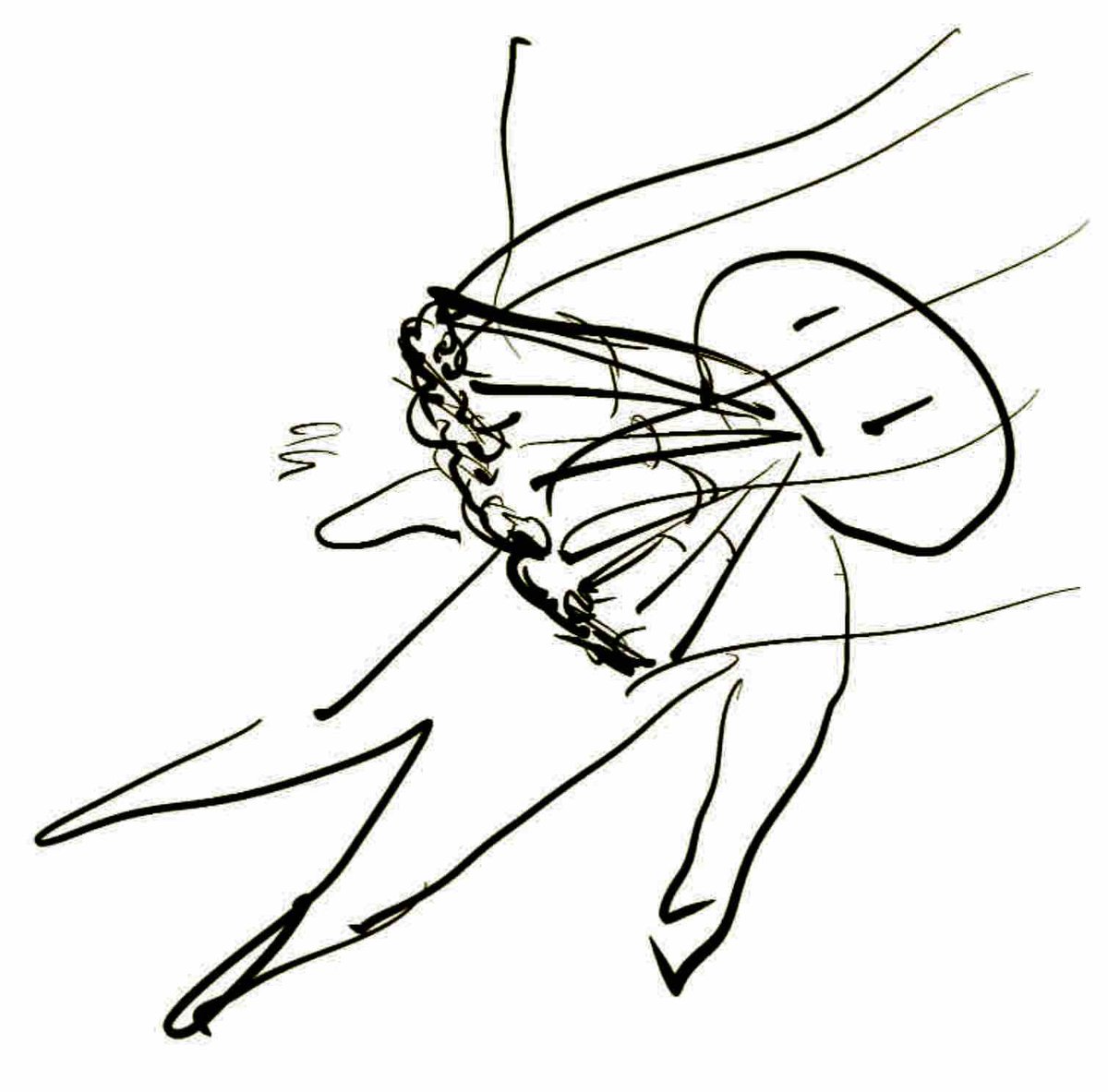 라일랄라 tweet media