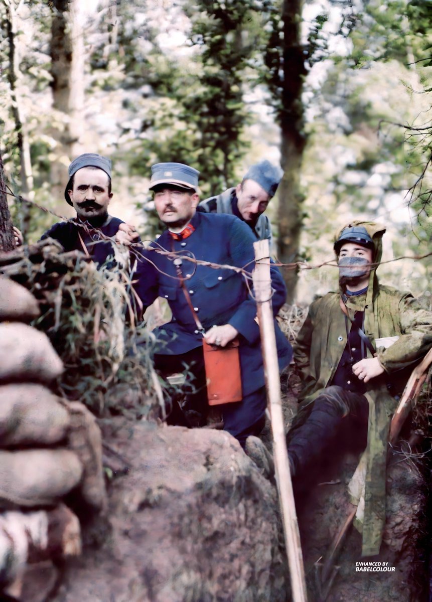 BabelColour tweet media