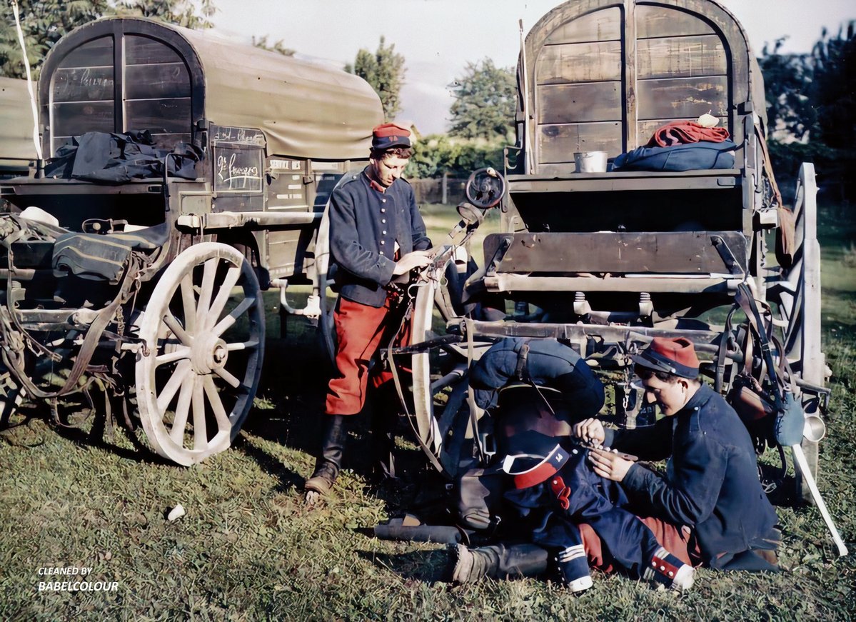 BabelColour tweet media