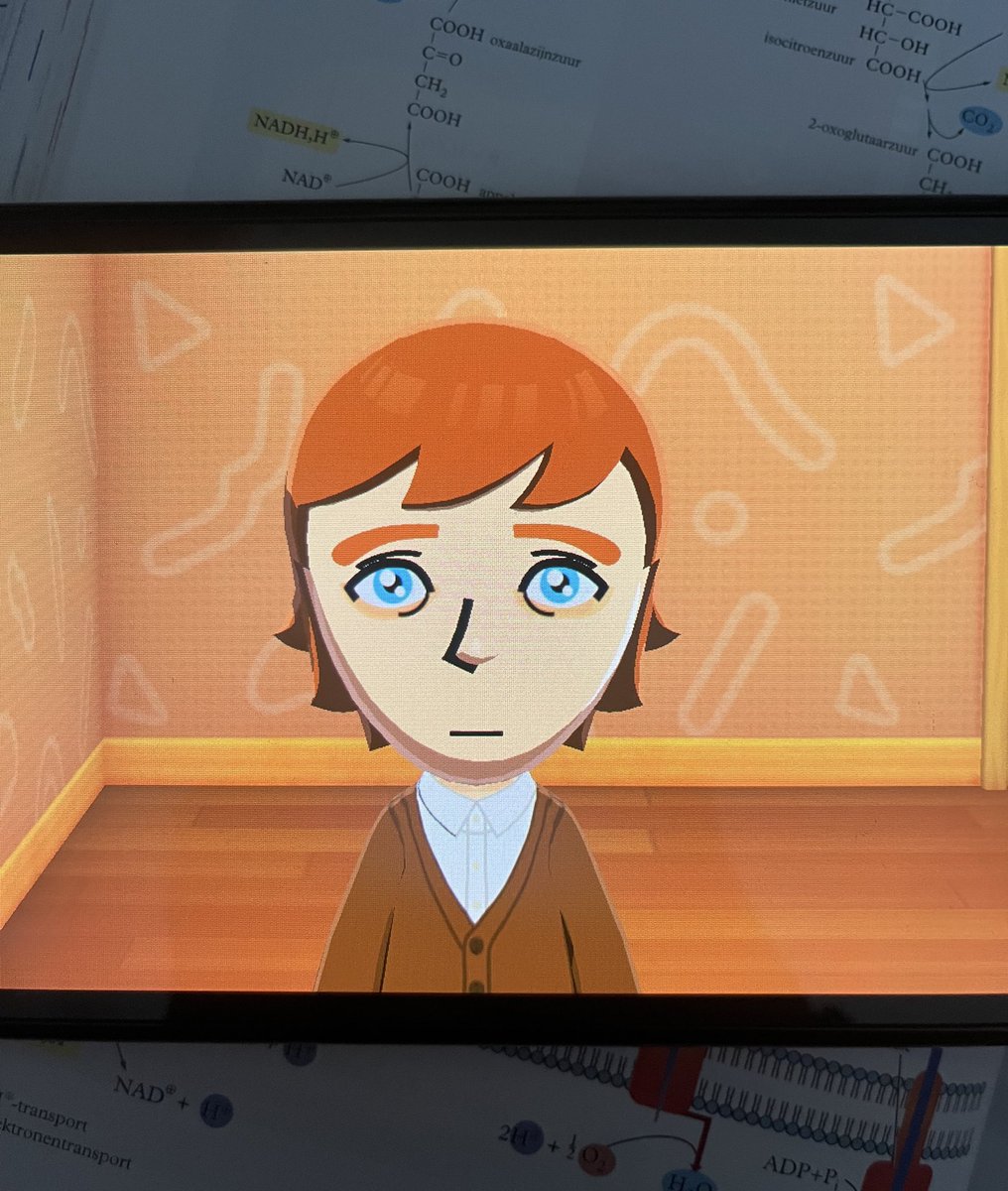 elisa⚢ tweet media