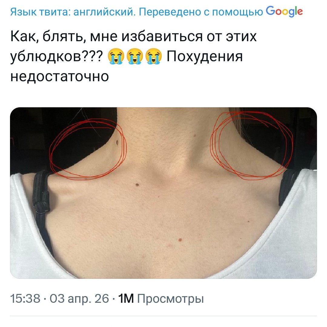 ✦ фер ✦ tweet media
