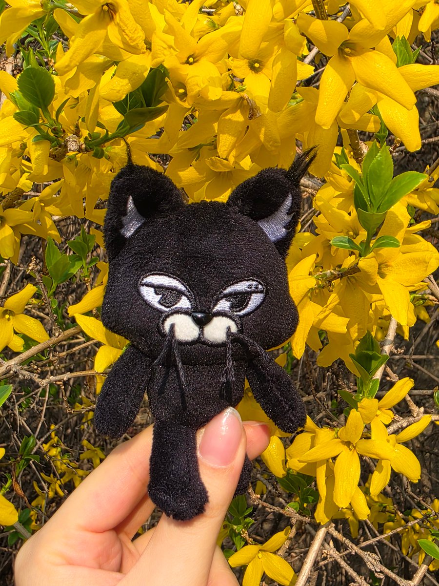 PPARK 빡아새 tweet media