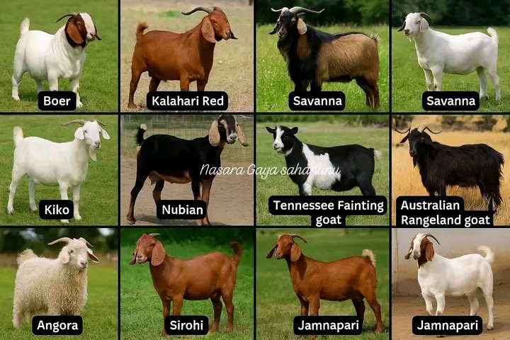 ALEXIS ™I ❤️🇷🇼• tweet media