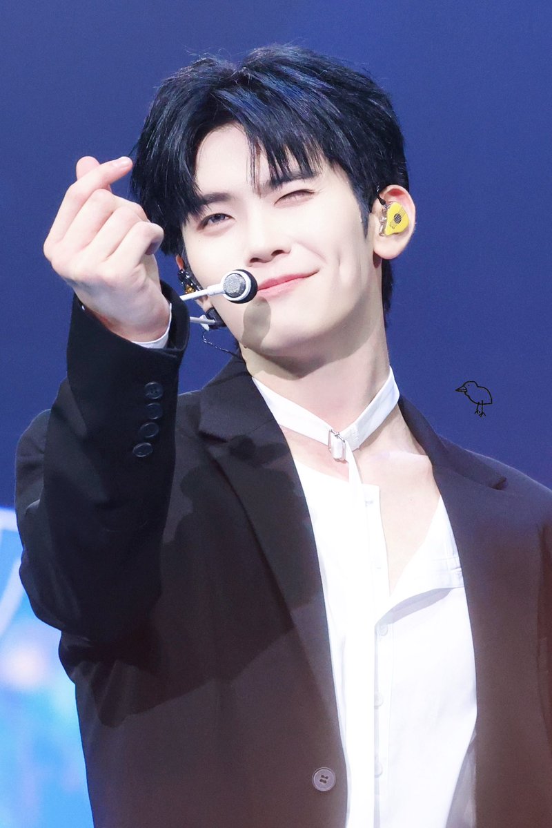 llt🐤🐣🐥 tweet media