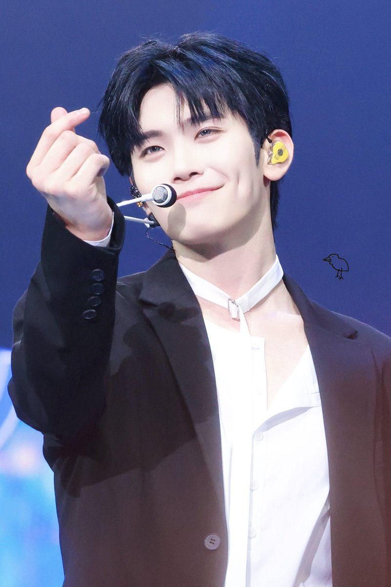 llt🐤🐣🐥 tweet media