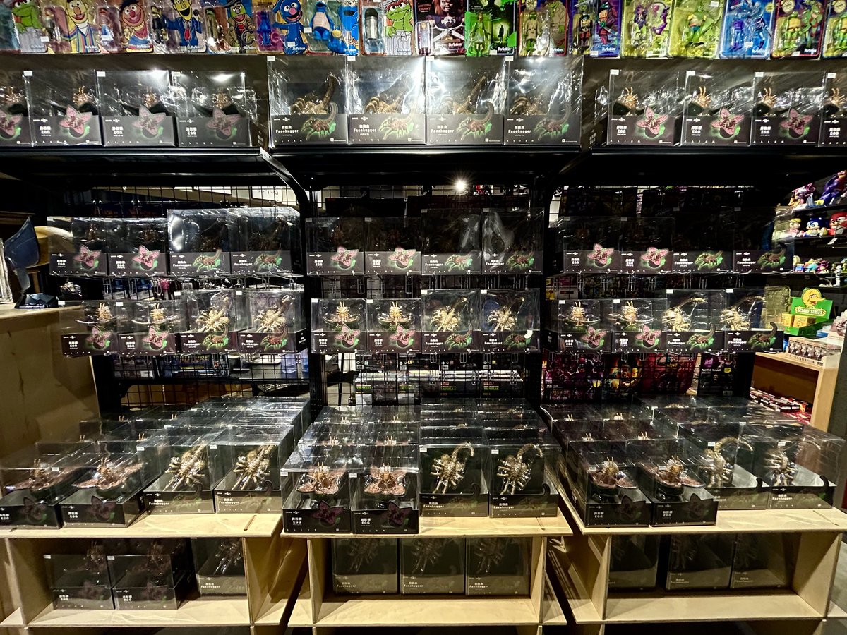 豆魚雷 tweet media