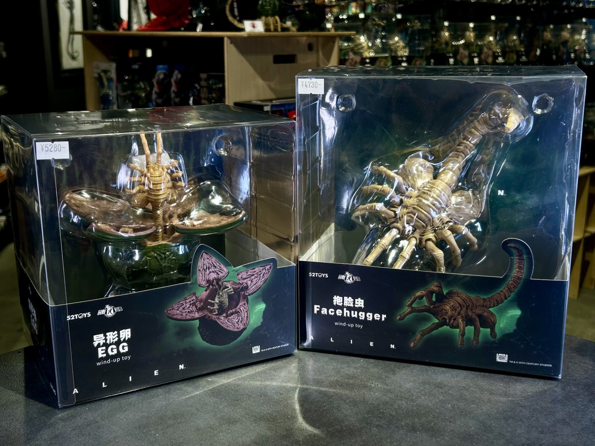 豆魚雷 tweet media