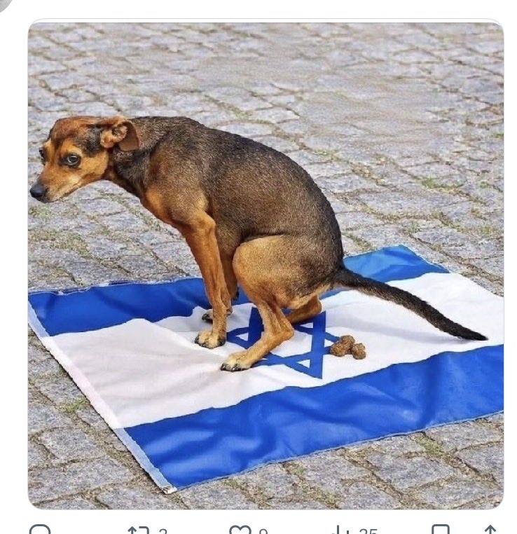 Nuri Öztürk.🇹🇷🇪🇭🇹🇷 tweet media