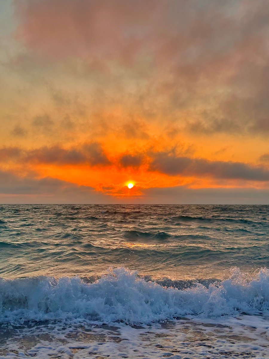 Mira🌺 tweet media