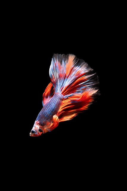 Jacob Slama tweet media